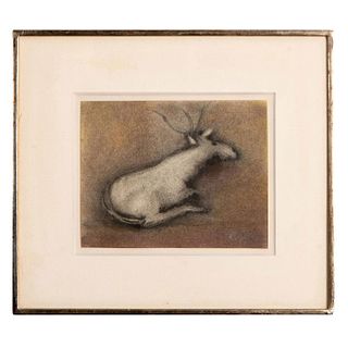 Kathleen Cooke (Irish, 1908-1978) Drawing, Deer, Signed