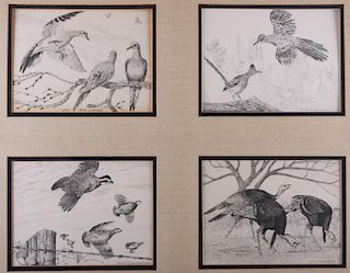Charles Beckendorf  Avian Prints (Multiple)
