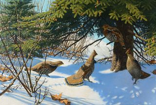 Aiden Lassell Ripley (1896 – 1969) — Grouse and Spruce Tree
