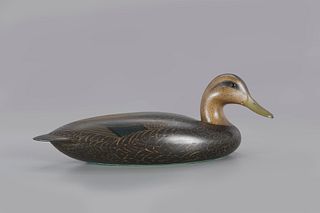The Connett Wheeler Black Duck Decoy by Charles "Shang" Wheeler (1872-1949)
