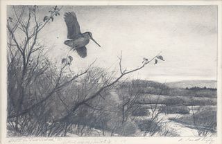 Aiden Lassell Ripley (1896-1969), Drawing for Lone Woodcock