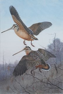 Earl Lincoln Poole (1891-1972), Woodcock in Flight