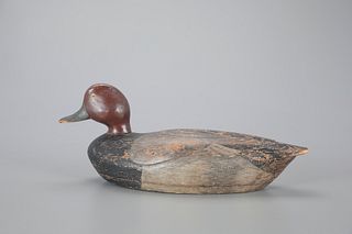 Peabody-Rig Redhead Drake Decoy out of the George Augustus Peabody (1831-1929) Rig
