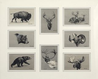 Walter A. Weber (1906-1979), Eight Portraits of Big Game Animals