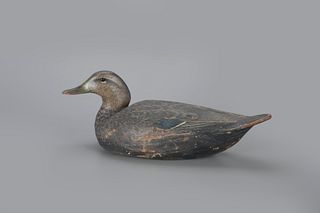 Black Duck Decoy by The Ward Brothers