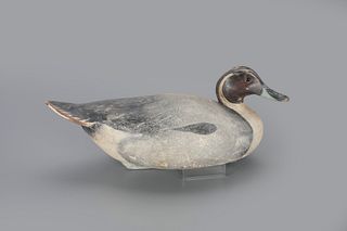 Pintail Decoy by The Ward Brothers