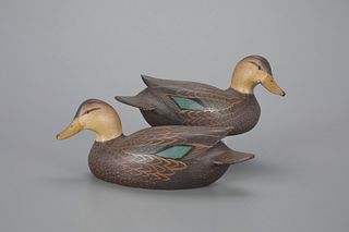 Miniature Black Duck Pair by The Ward Brothers