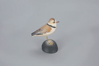 Miniature Piping Plover by A. Elmer Crowell (1862-1952)