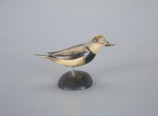 Miniature Long-Tailed Drake by A. Elmer Crowell (1862-1952)