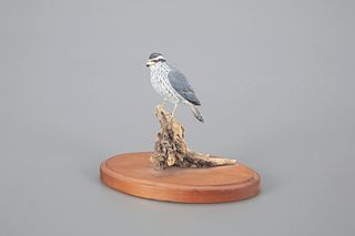Miniature Falcon by Anthony Hillman