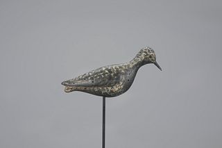 Golden Plover with Raised Wings
