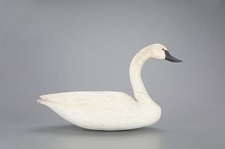 Swan with Doughty Goose Body by the Doughty Family