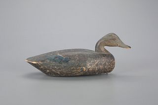 Swimming Black Duck Decoy attributed to Delbert Hudson (1928-1981) 