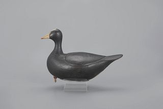 Root-Head Coot Decoy by Mark S. McNair (b. 1950)
