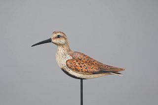 Dunlin by William Gibian (b. 1946)