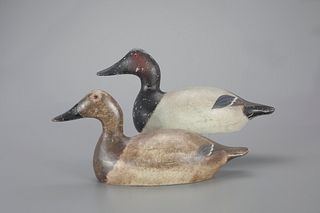 Mammoth-Grade Canvasback Pair by Evans Duck Decoy Co. (1921-1932)
