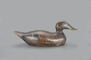 Early Mammoth-Grade Black Duck by Evans Duck Decoy Co. (1921-1932)