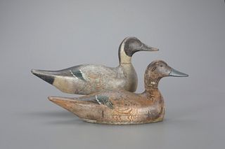 Mammoth-Grade Pintail Pair by Evans Duck Decoy Co. (1921-1932)