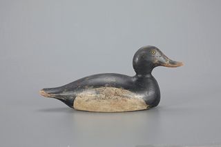 The Evans Ring-Necked Drake by Evans Duck Decoy Co. (1921-1932)
