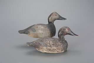 Two Canvasback Hens by Evans Duck Decoy Co. (1921-1932)