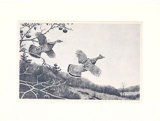 Aiden Lassell Ripley (1896-1969), A Pair of Grouse