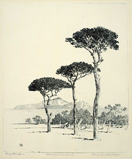George Elbert Burr (1859-1939), Stone Pines Near Sorrento