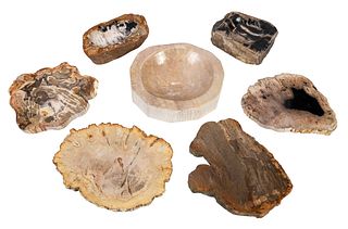 Four Petrified Wood Slabs and Three Bowls