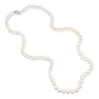 Rope Length Pearl Necklace