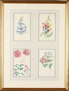 Alfred Adlard & James Andrews- 4 Floral Studies