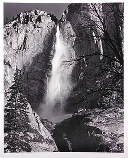 Howard Bond: Upper Yosemite, February