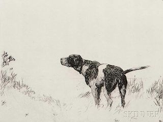 Frank Weston Benson (American, 1862-1951)      Pointer Dog