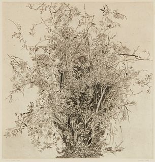 Gordon Cook (1927-1985), "Rose Bush," Etching on paper, Plate: 14.5" H x 14" W
