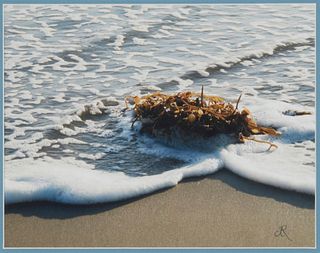 Darlene Roker (20th century), Waves and seaweed, Chromogenic print on paper, Sight: 10.5" H x 13.5" W
