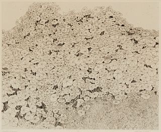 Beth Van Hoesen (1926-2010), "Nasturtiums," circa 1961, Etching and drypoint on paper, Plate: 14.875" H x 18.375" W