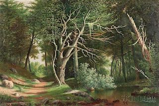 William Allen Wall (American, 1801-1885)      A Forest Pool