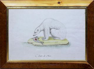 18th Century Original Watercolor of a Polar Bear