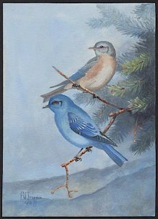 Steffen Watercolor of Mountain Bluebird