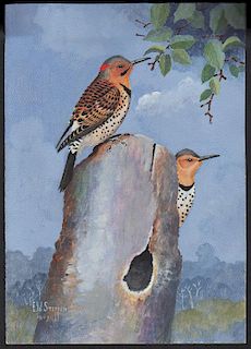 Steffen Watercolor of Yellow-Billed Cuckoo