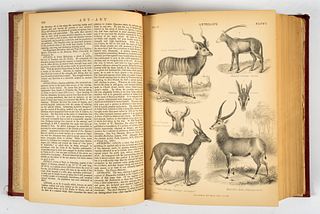 Encyclopedia Britannica, Ninth Edition, 1878, 25 vols