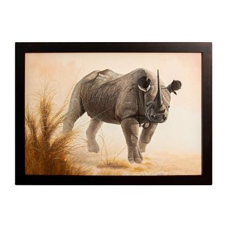 Oil Painting on Canvas, Rhinoceros