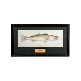 Bill Bishop Jr. (American, 20th c.) Lithograph, Speckled Trout, Signed