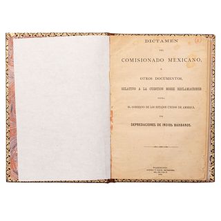 Guzmán, León - Wadsworth, W. H. Dictamen... sobre Reclamaciones por Desapariciones de Indios Bárbaros. Washington, 1872.