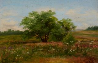 Mary Stewart Dunlap (1846-1925), A big tree in an open landscape, Oil on canvas, 8.5" H x 13" W