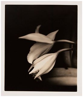 Joel Glassman (b. 1946), Untitled from "Morning Becomes Electra," 1996, Sepia and toned gelatin silver print on paper, Image: 18.25" H x 14.25" W; She