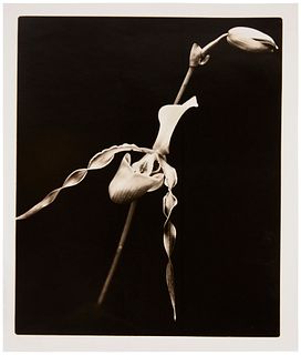 Joel Glassman (b. 1946), Untitled from "Morning Becomes Electra," 1996, Sepia and toned gelatin silver print on paper, Image: 14.25" H x 18.25" H; She
