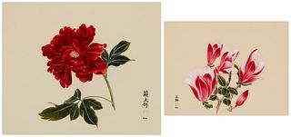 Diana Kan (b. 1926), Two works: Red peonies, Watercolor on silk, Sight: 13.5" H x 16.5" W and Pink tulip magonolias, Watercolor on silk, Sight: 9.5" H