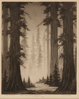 Harold Lukens Doolittle (1883-1974), "Redwood Giants," Etching and aquatint on paper, Plate: 12" H x 10" W; Sight: 12.625" H x 10.5" W