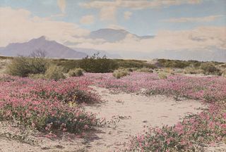 Stephen Willard (1894-1966), "A Breath of Spring," Photograph with hand-painting on paper, Sight: 14.625" H x 21.375" W