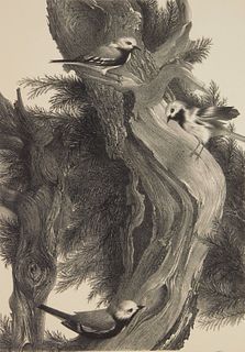 Stow Wengenroth lithograph