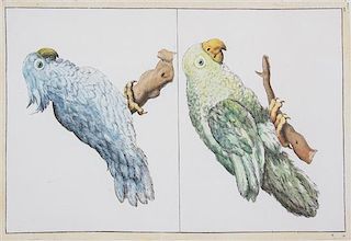 A Pair of Continental Handcolored Engravings 12 1/4 x 8 3/4 inches.